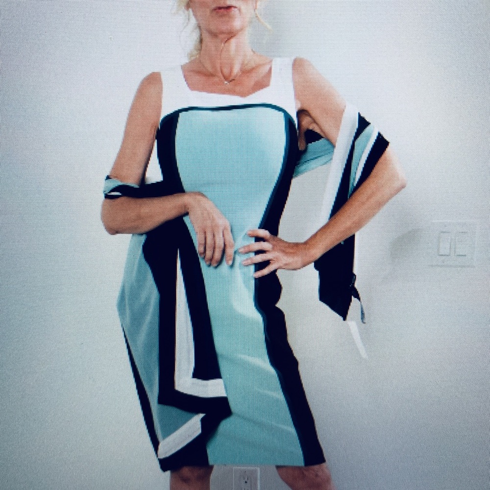 White House Black Market Colorblock Sheath Dress